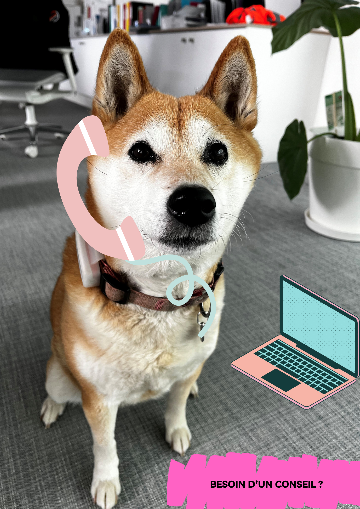 Lire la suite à propos de l’article Voici Griotte, la mascotte du centre de formation !